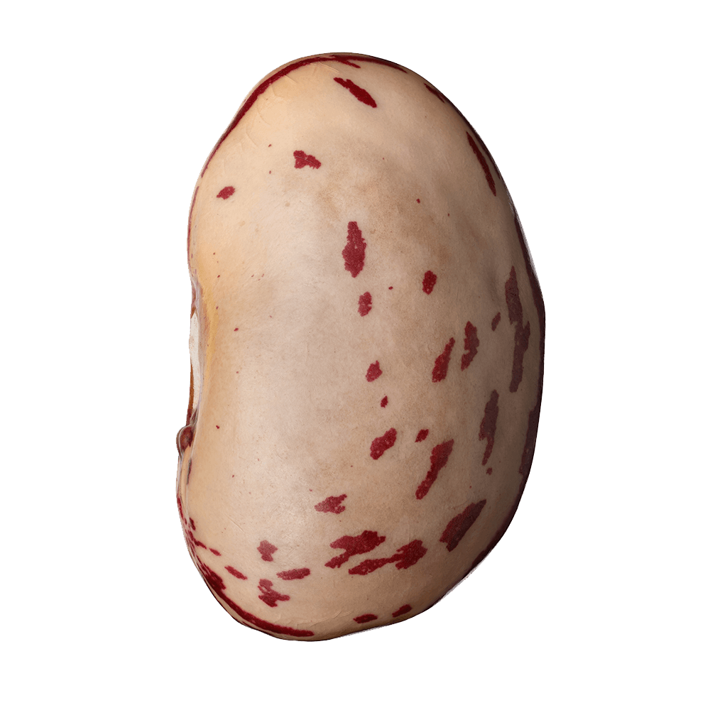 Fagioli borlotti