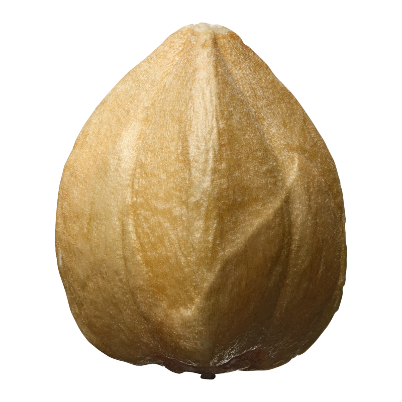 Grano saraceno