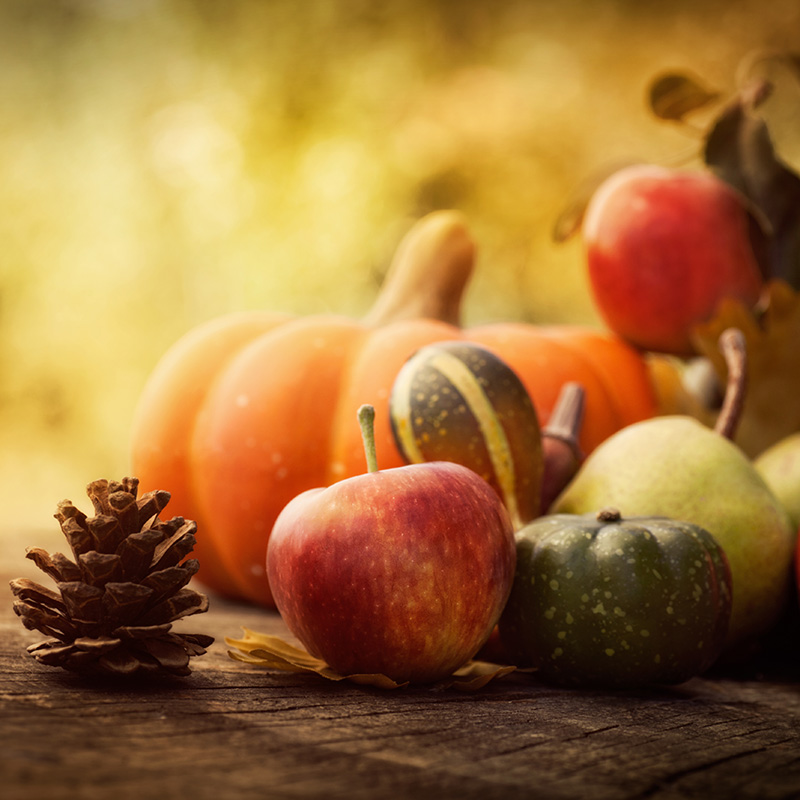 Largo alla STAGIONALITÀ degli ALIMENTI!