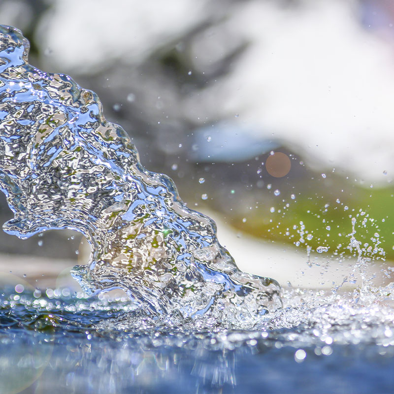 GIORNATA MONDIALE dell’ACQUA:  Un “LEGUME” di speranza