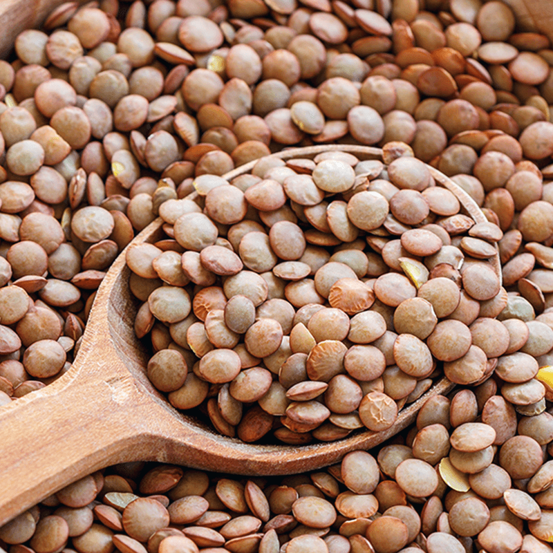 Lentils: PROPERTIES, BENEFITS, TYPES and CHARACTERISTICS